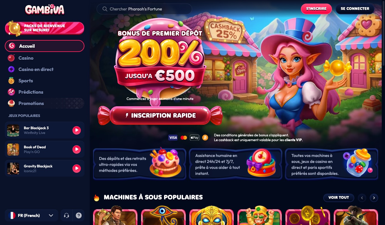 Aperçu de la plateforme Gambiva